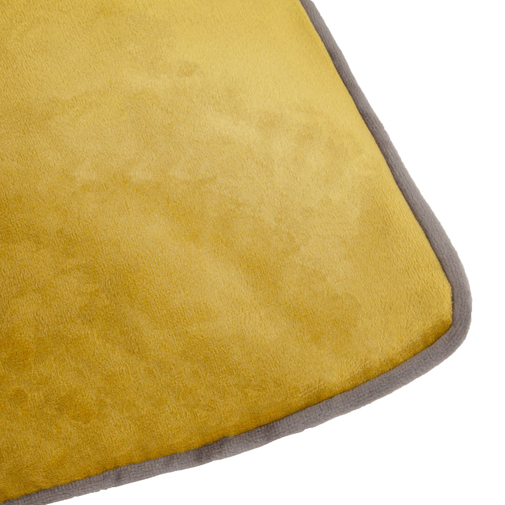 Meridian Velvet Cushion