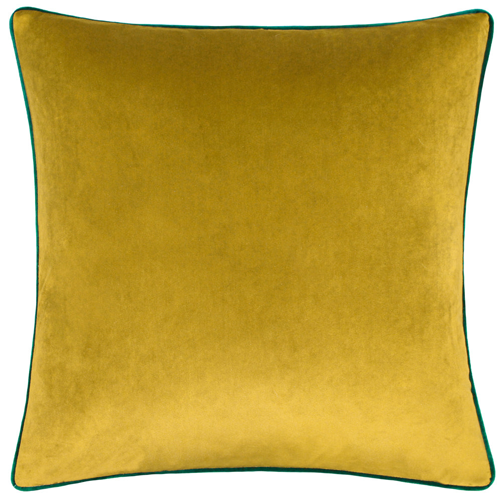 Meridian Velvet Cushion