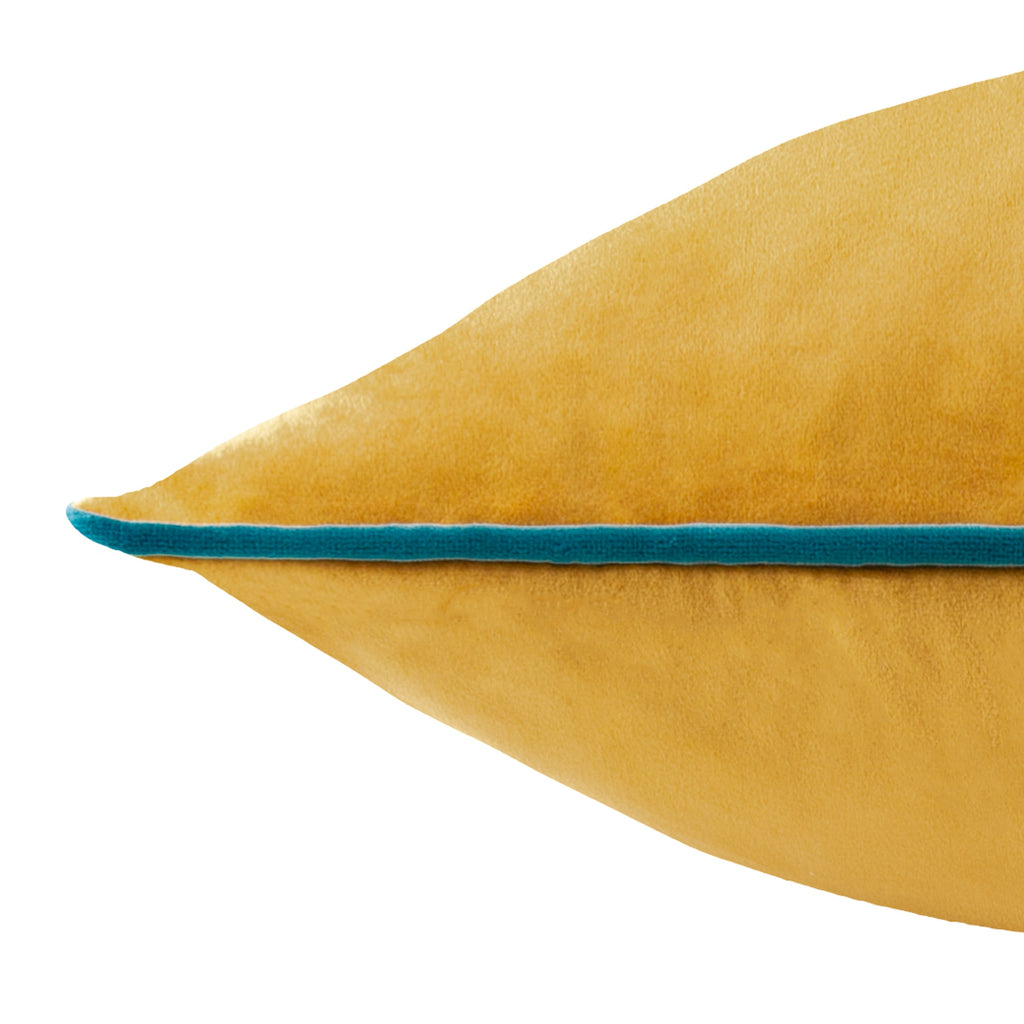 Meridian Velvet Cushion