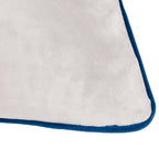 Meridian Velvet Cushion
