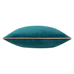 Meridian Velvet Cushion