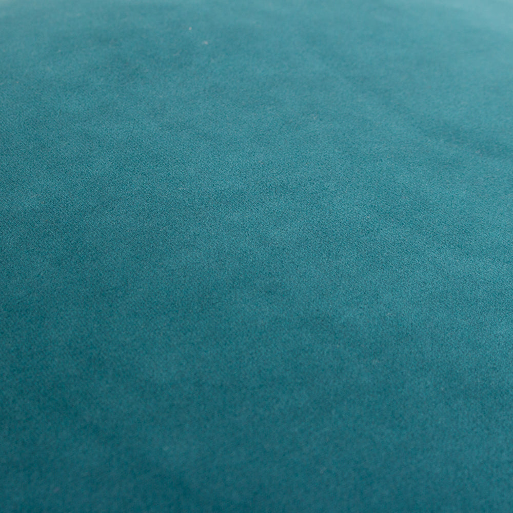 Meridian Velvet Cushion