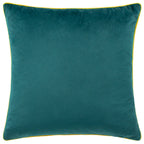 Meridian Velvet Cushion