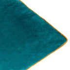 Meridian Velvet Cushion