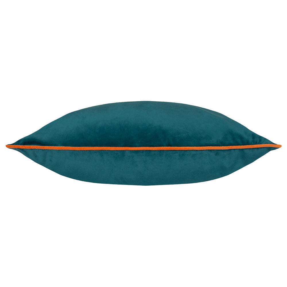 Meridian Velvet Cushion