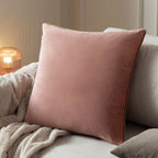 Meridian Velvet Cushion