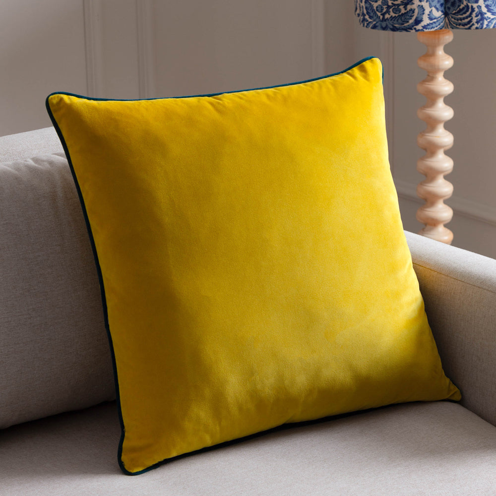 Meridian Velvet Cushion