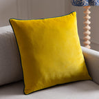 Meridian Velvet Cushion