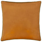 Meridian Velvet Cushion