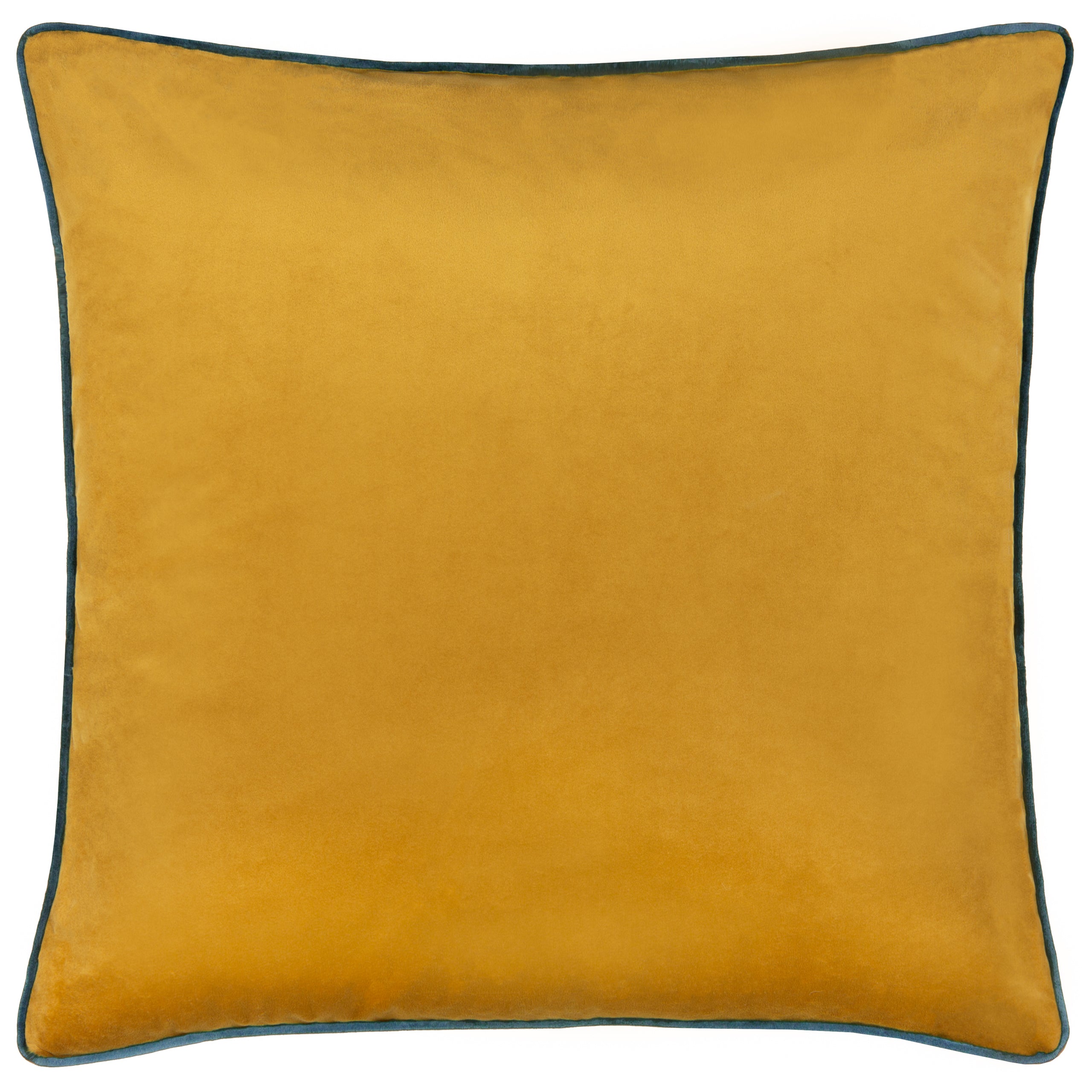 Meridian Velvet Cushion