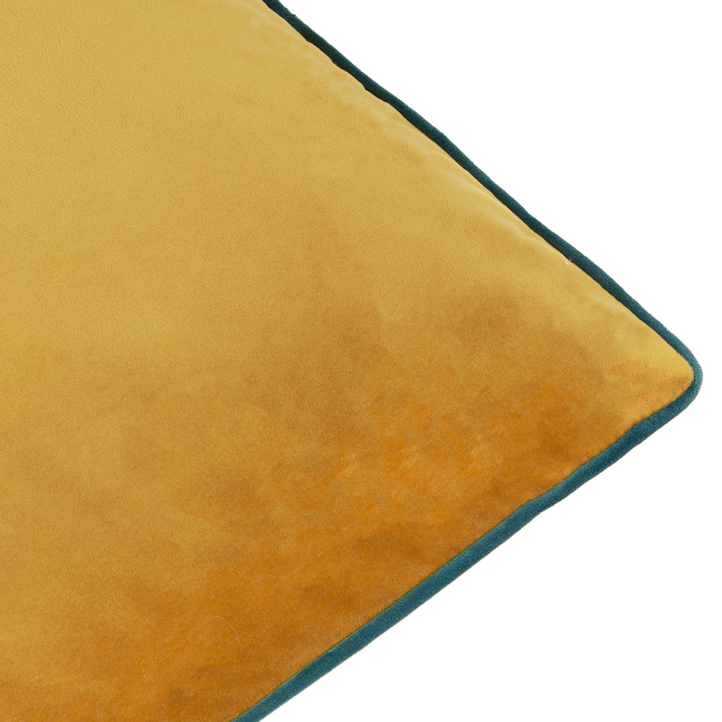 Meridian Velvet Cushion