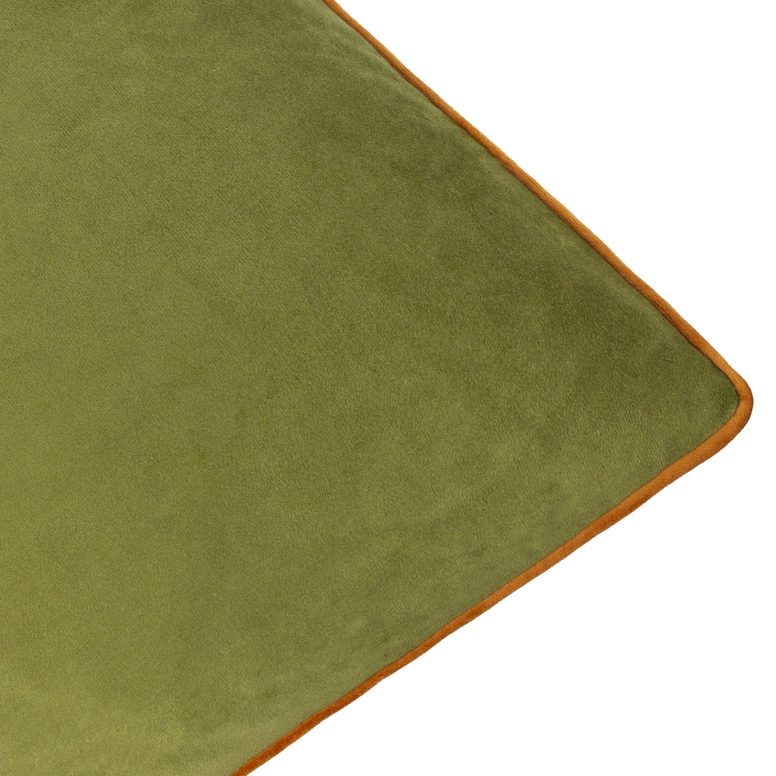 Meridian Velvet Cushion