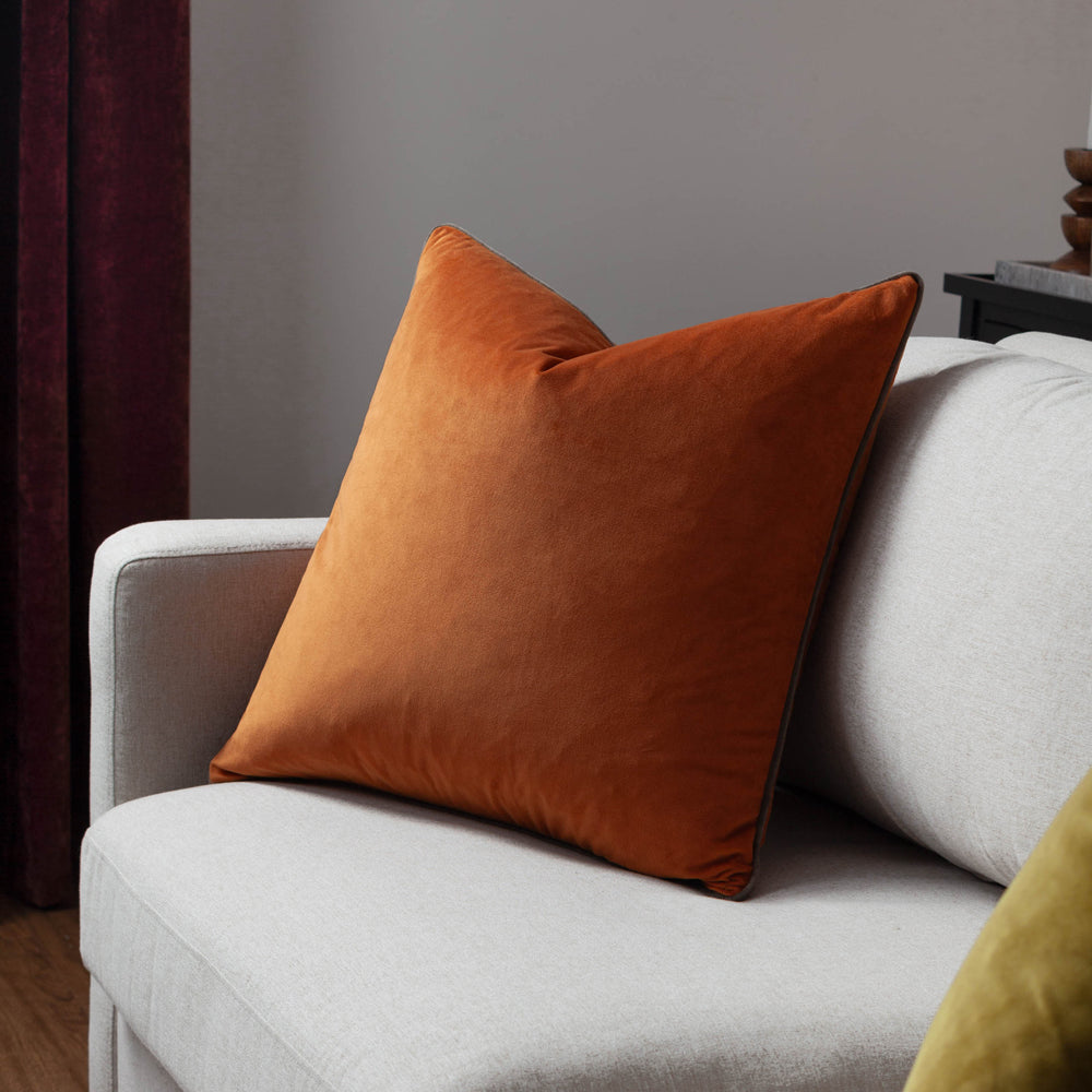 Meridian Velvet Cushion