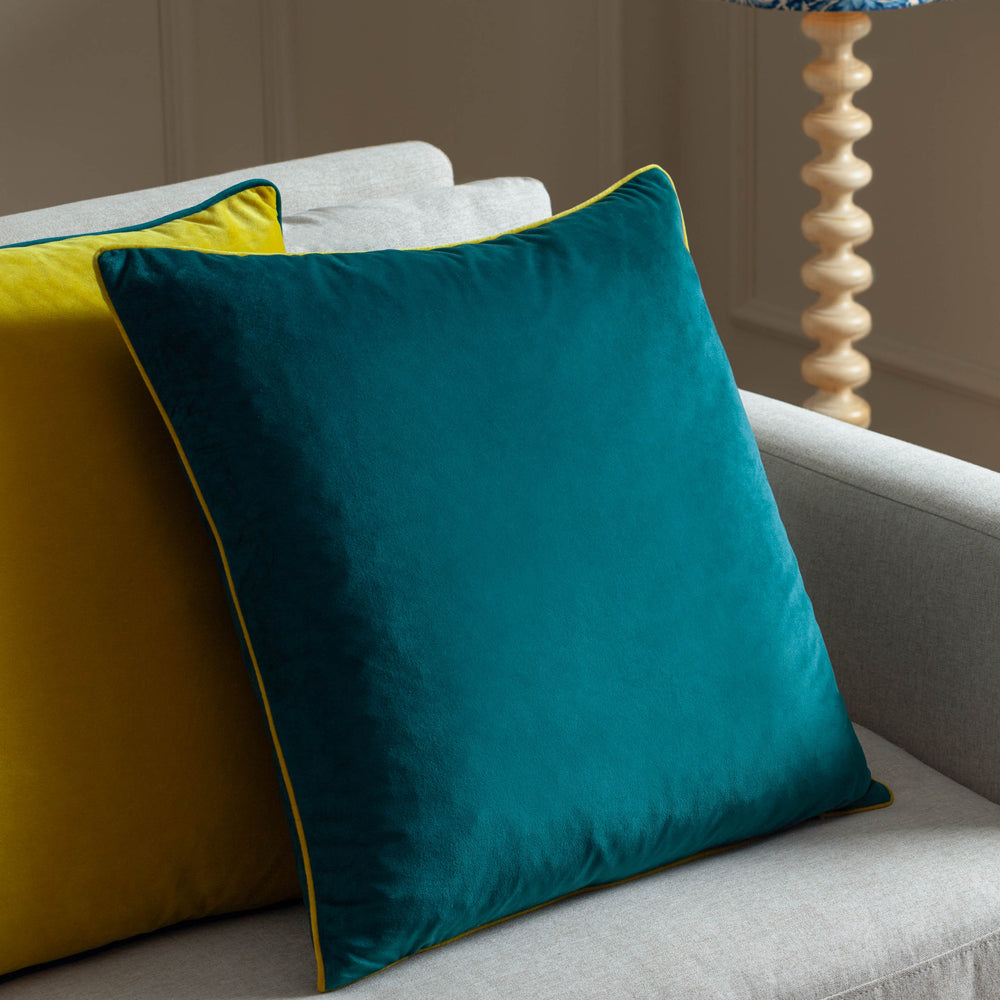 Meridian Velvet Cushion