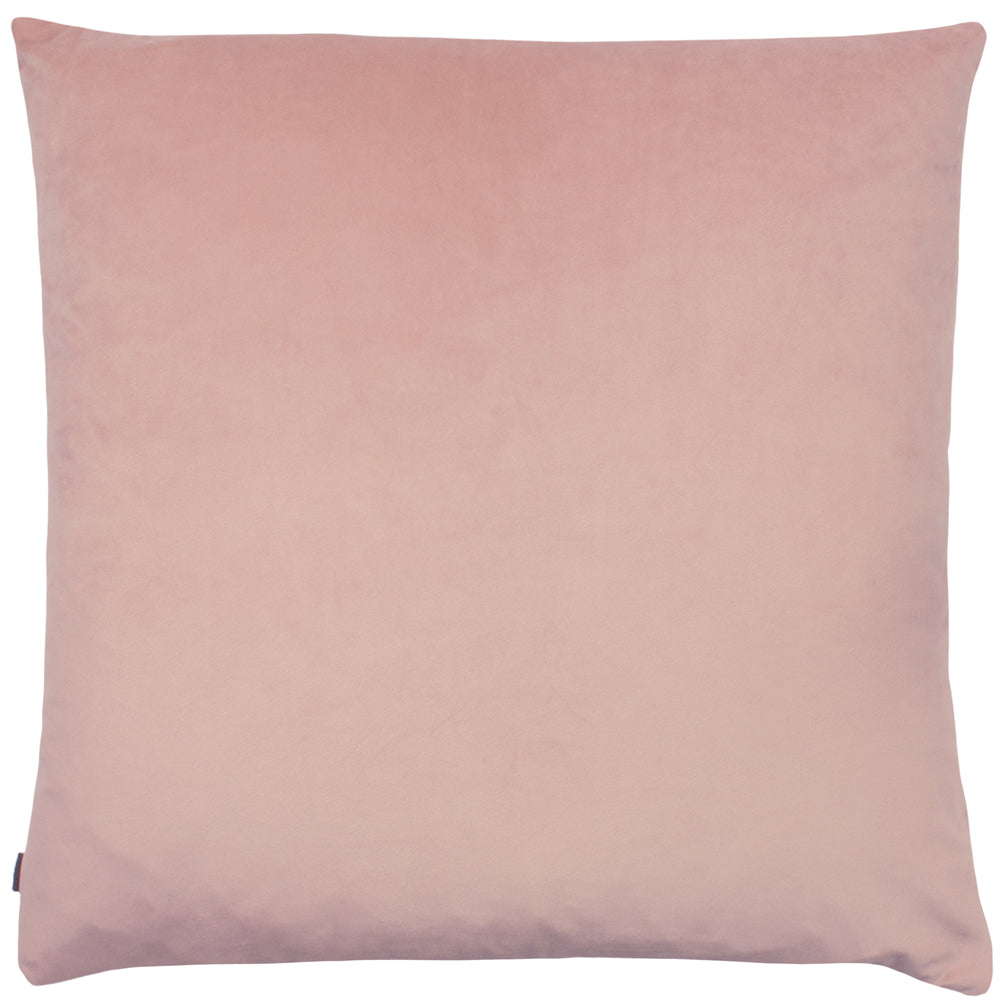 Meyer Cushion