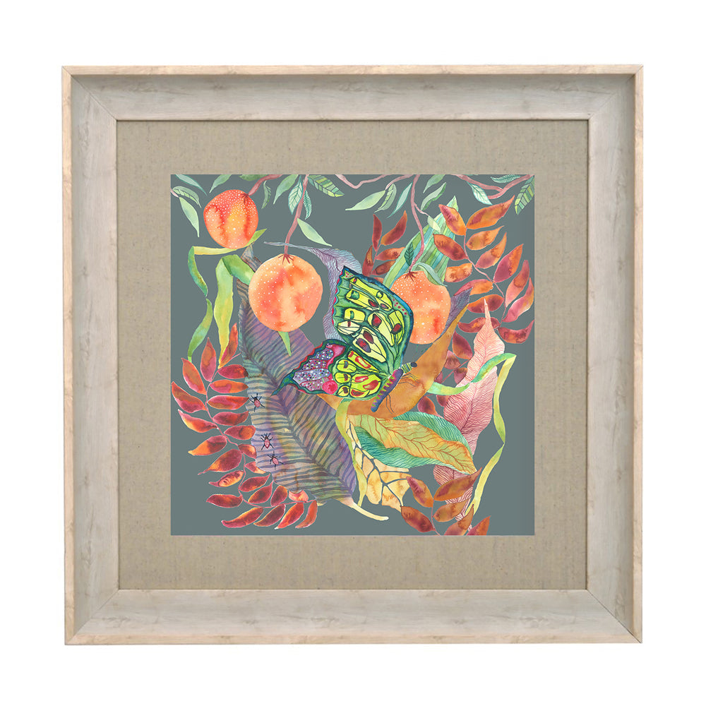 Mirabelle Butterfly Framed Print