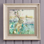 Morning Hare Framed Print