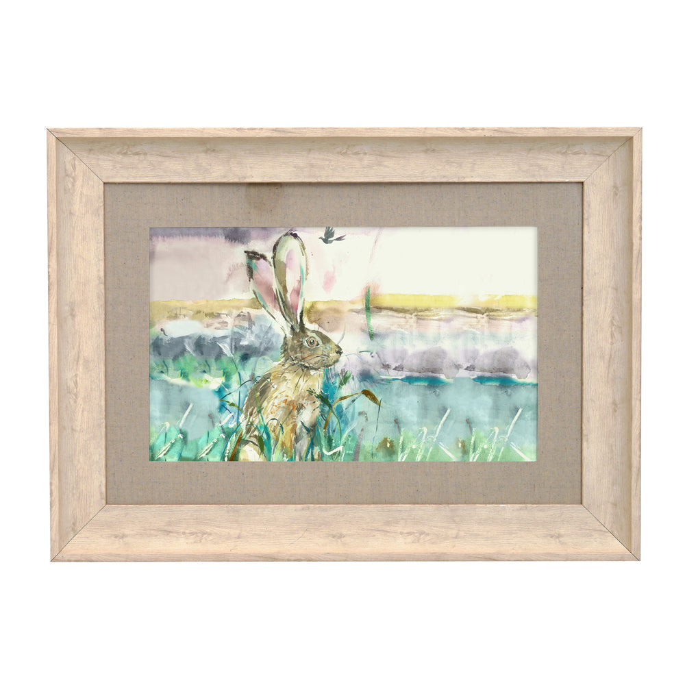 Morning Hare Framed Print