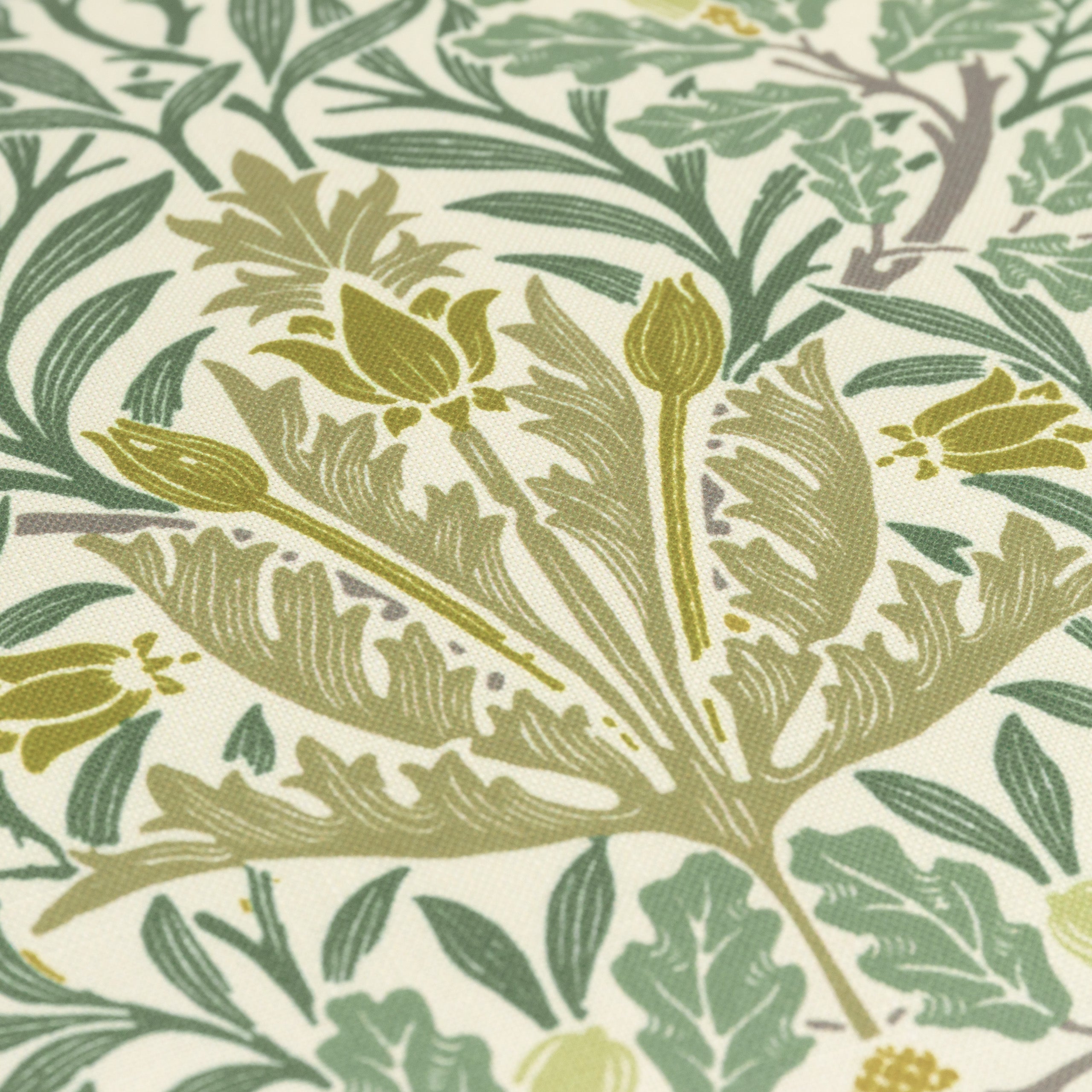 Multi Acorn Printed Outdoor Cushion