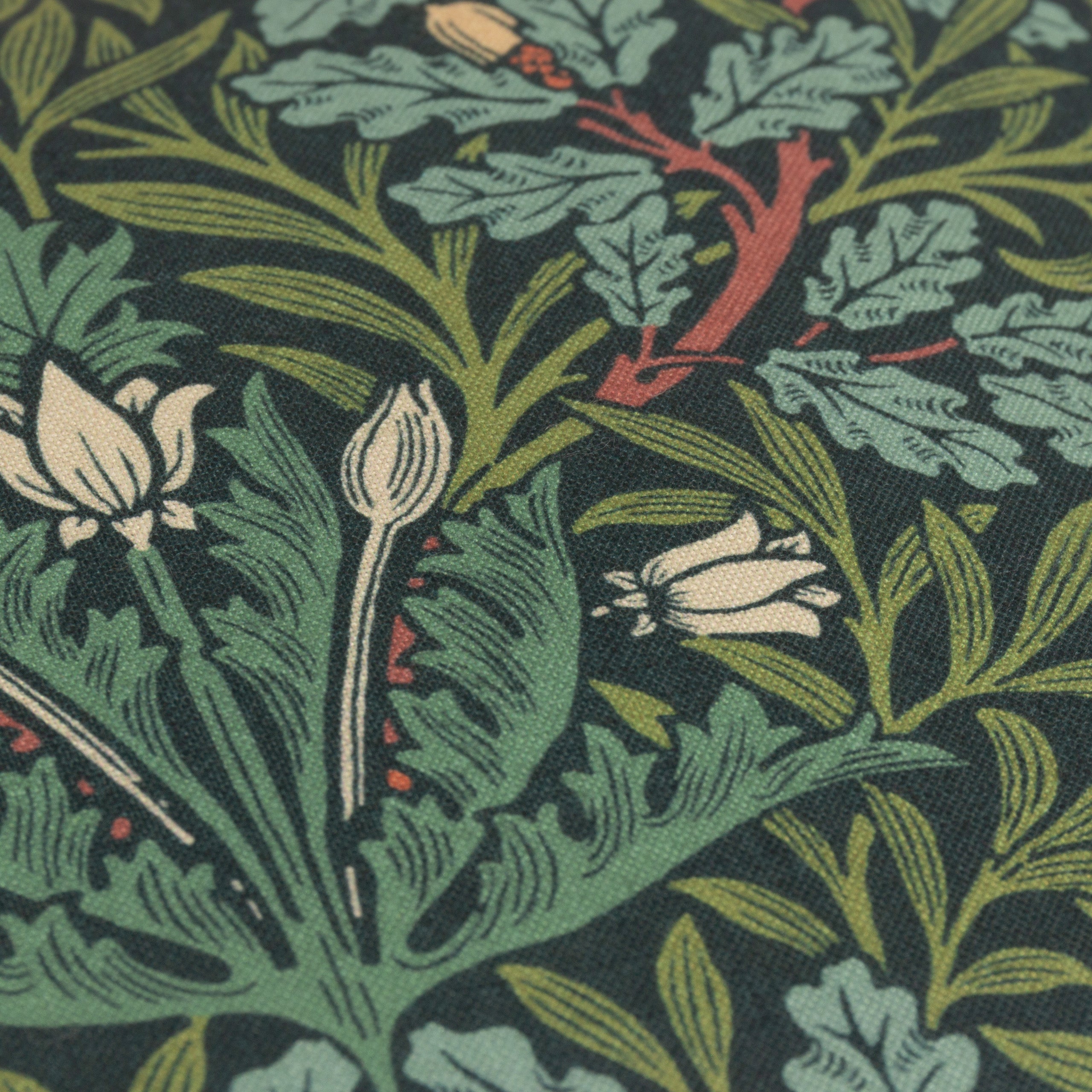 Multi Acorn Printed Outdoor Cushion