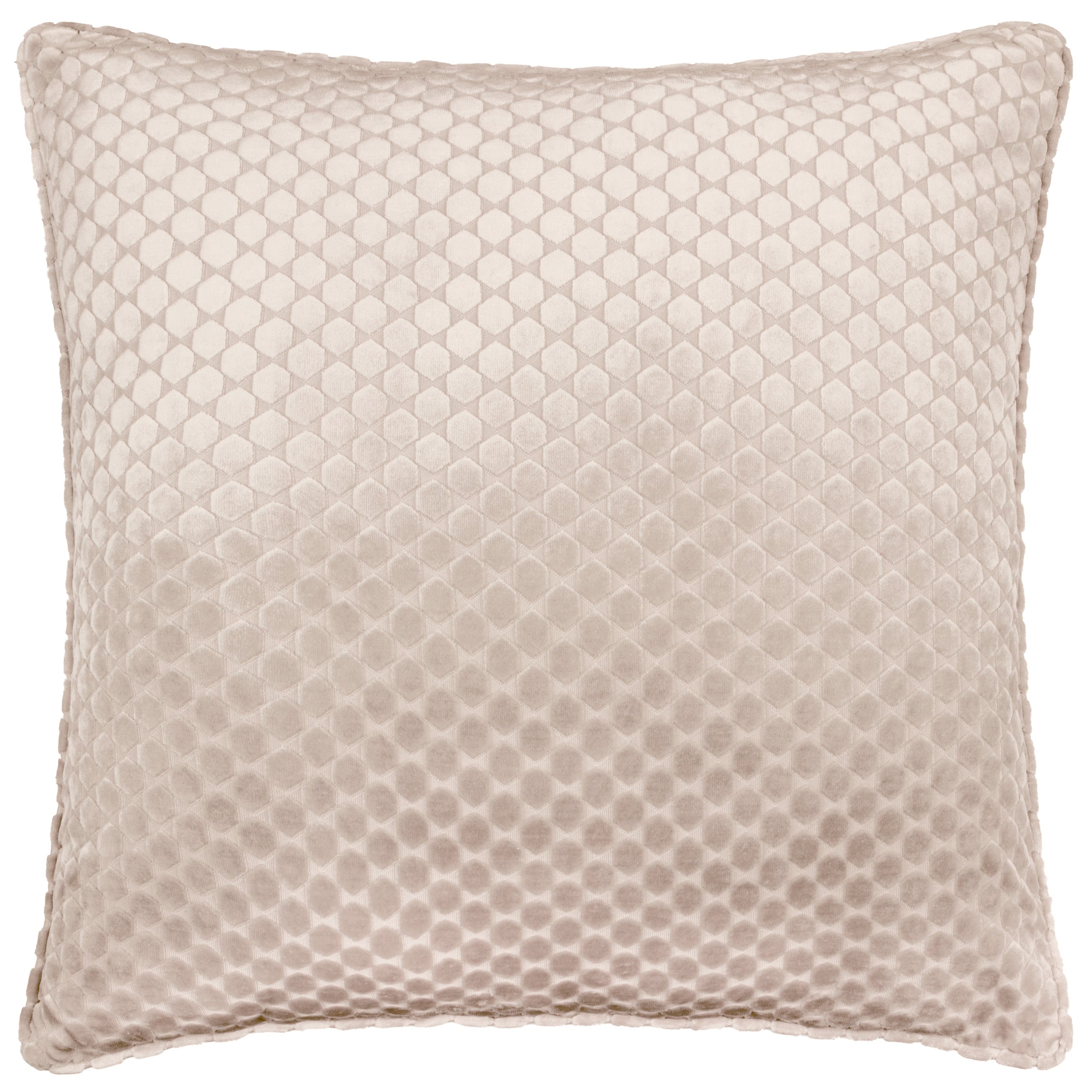 Neptune Velvet Cushion