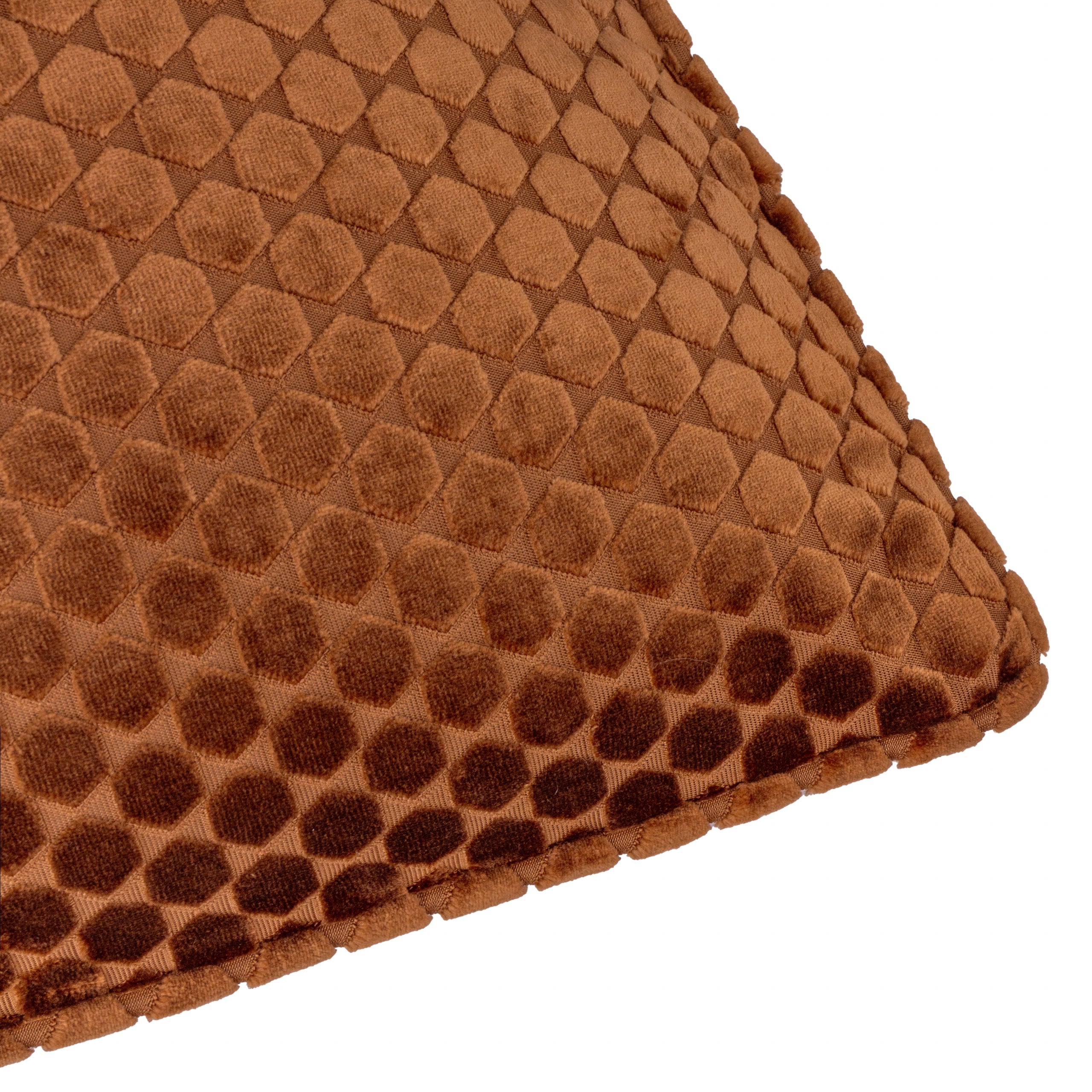 Neptune Velvet Cushion