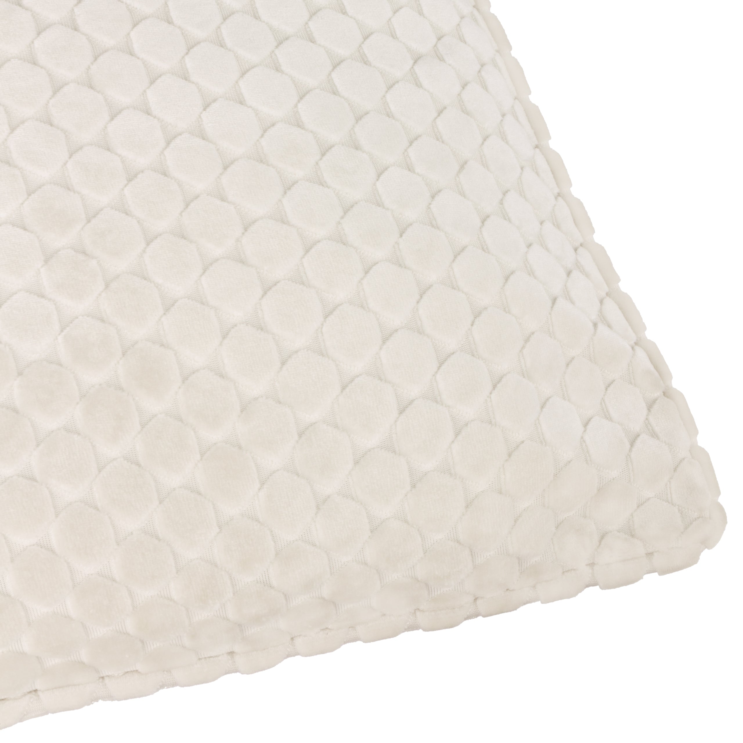 Neptune Velvet Cushion