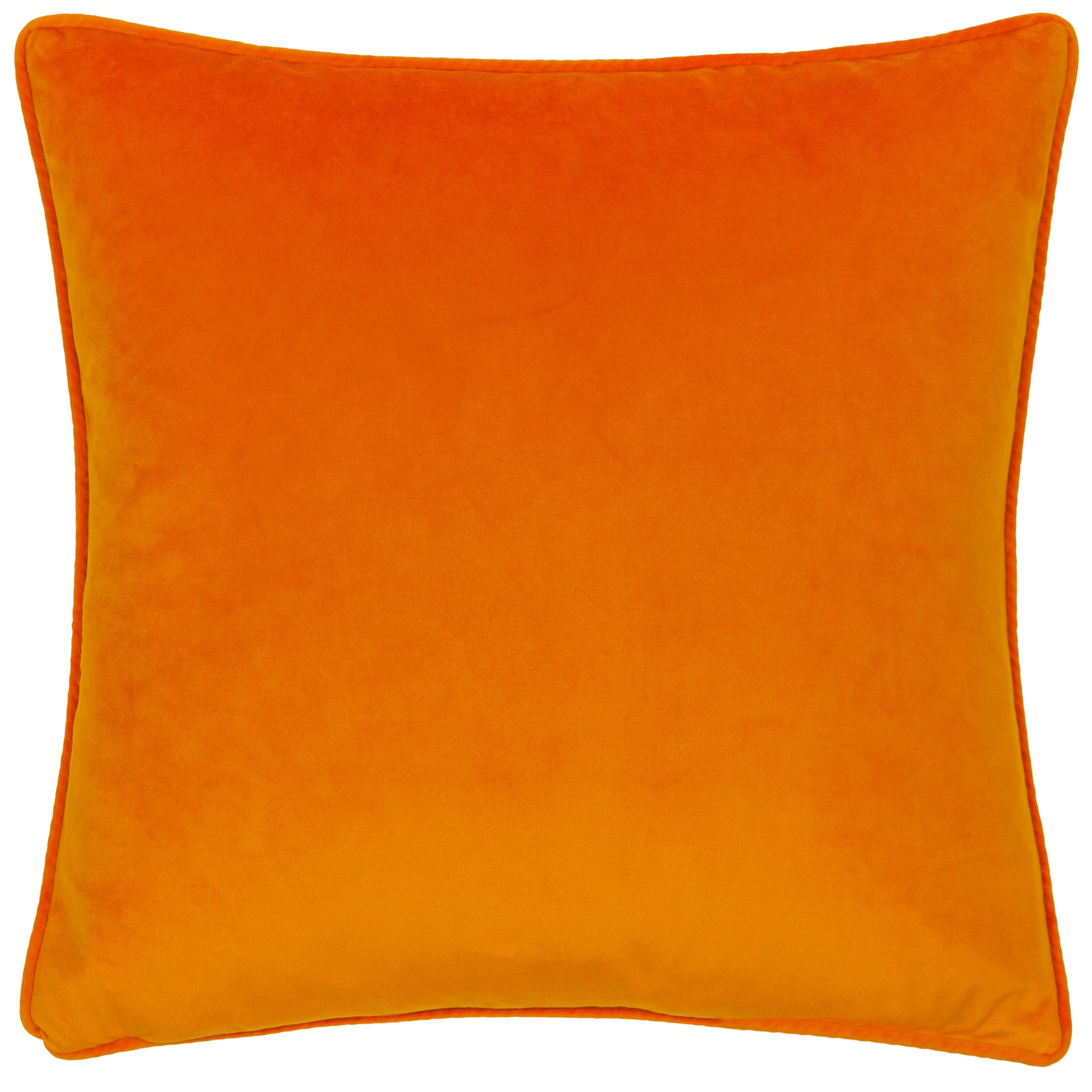 Nectar Garden Blossom Piped Velvet Cushion