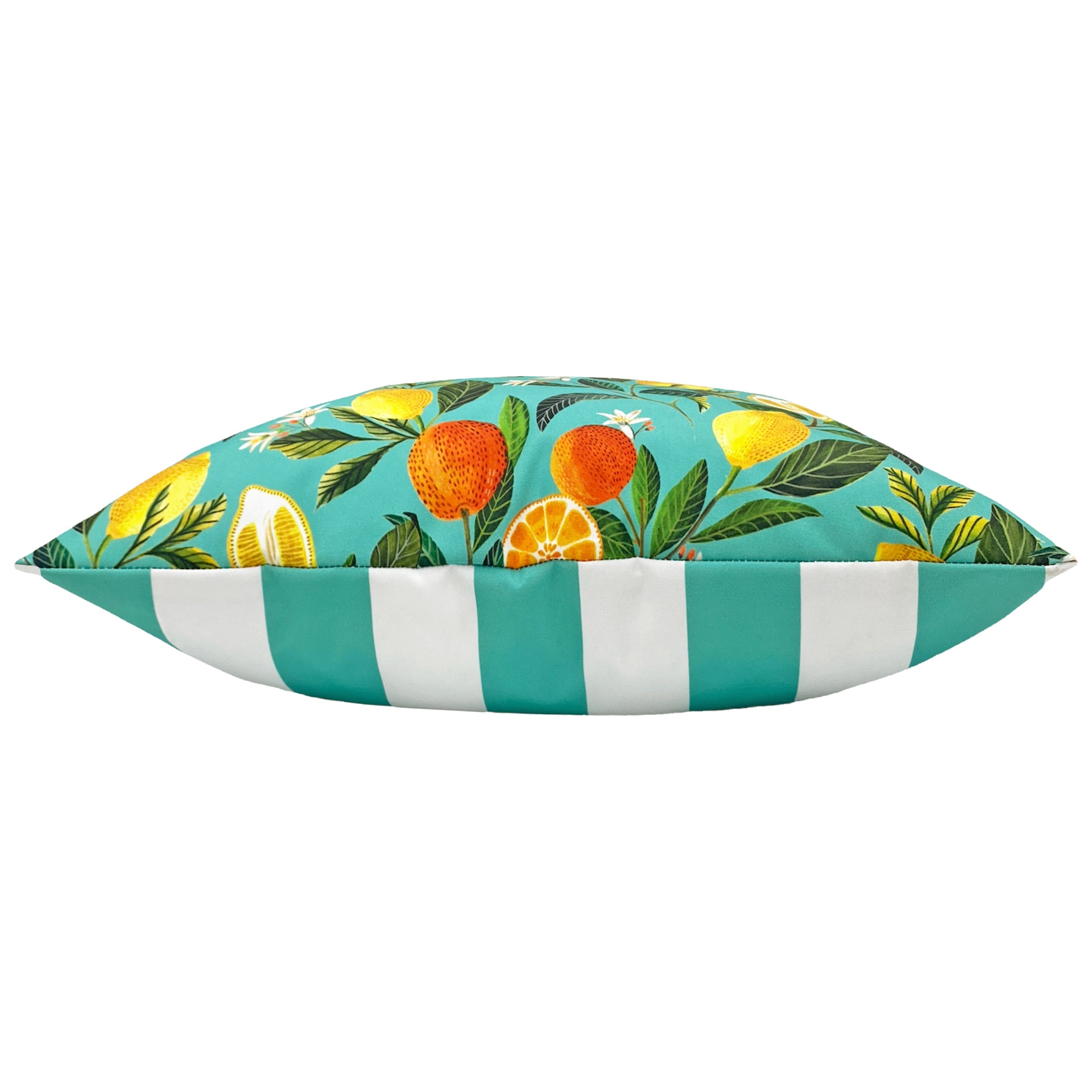 Orange Blossom Outdoor Cushion