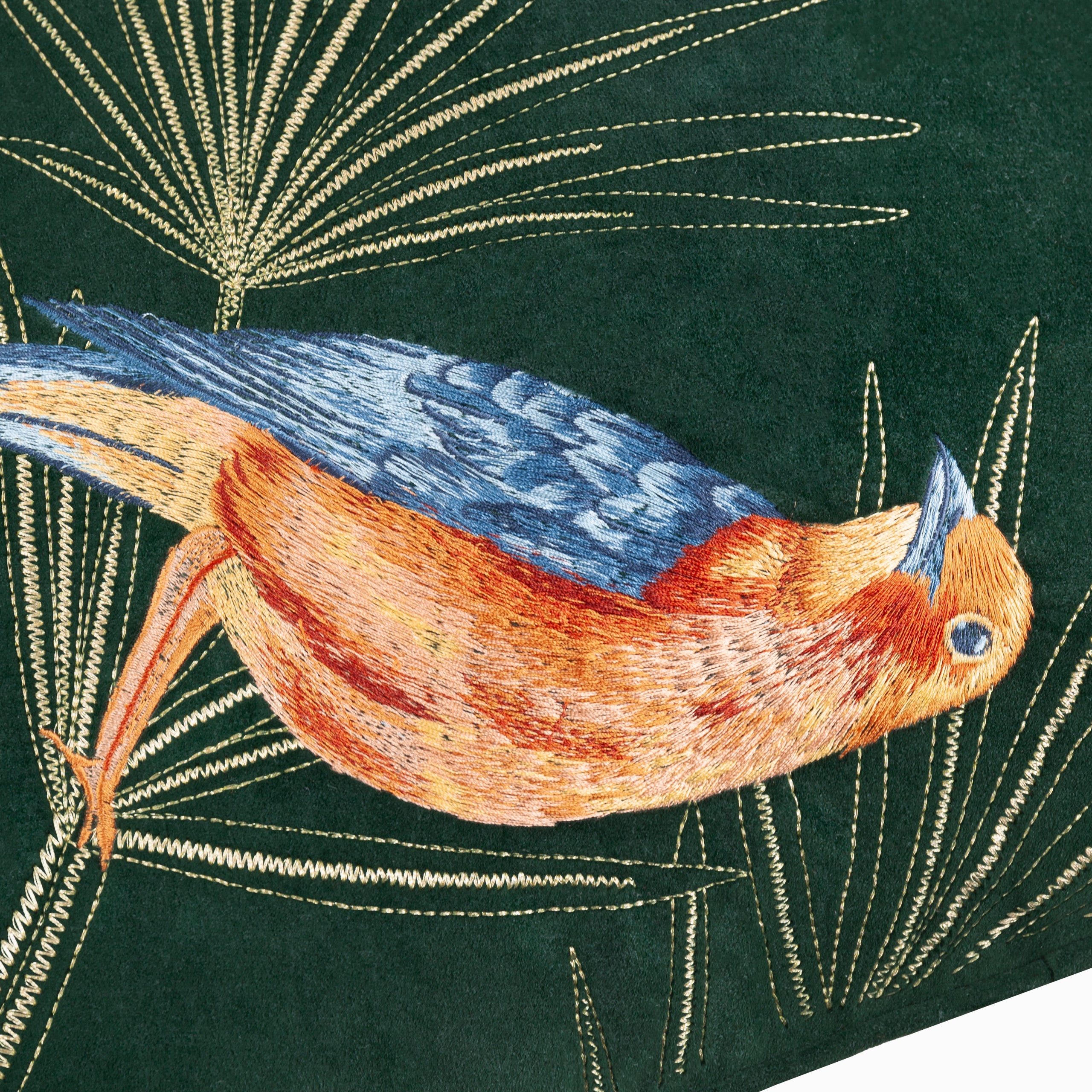 Odisha Exotic Bird Embroidered Cushion