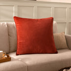 Opulence Soft Velvet Cushion