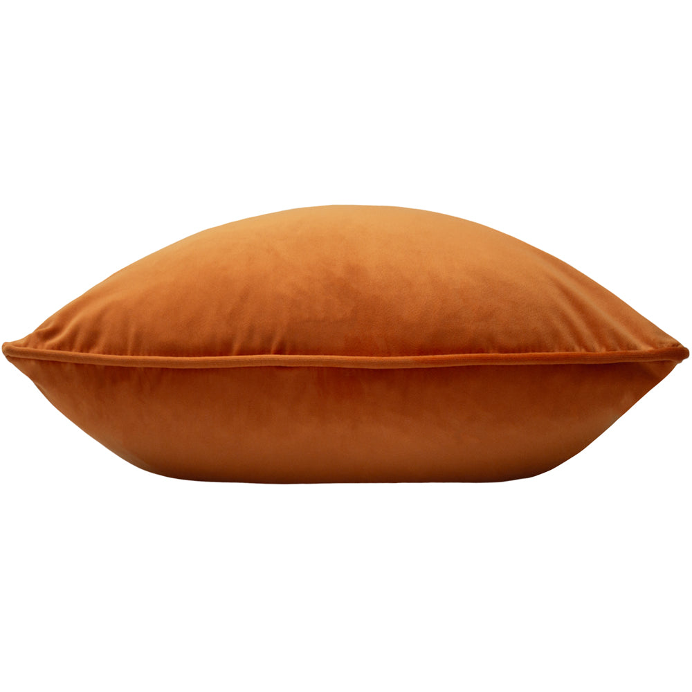Opulence Soft Velvet Cushion