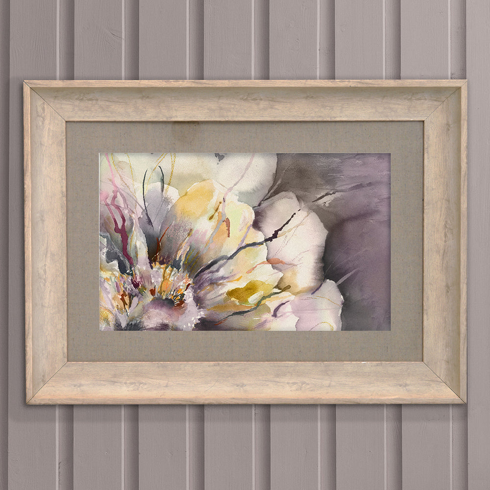 Paeonia Framed Print