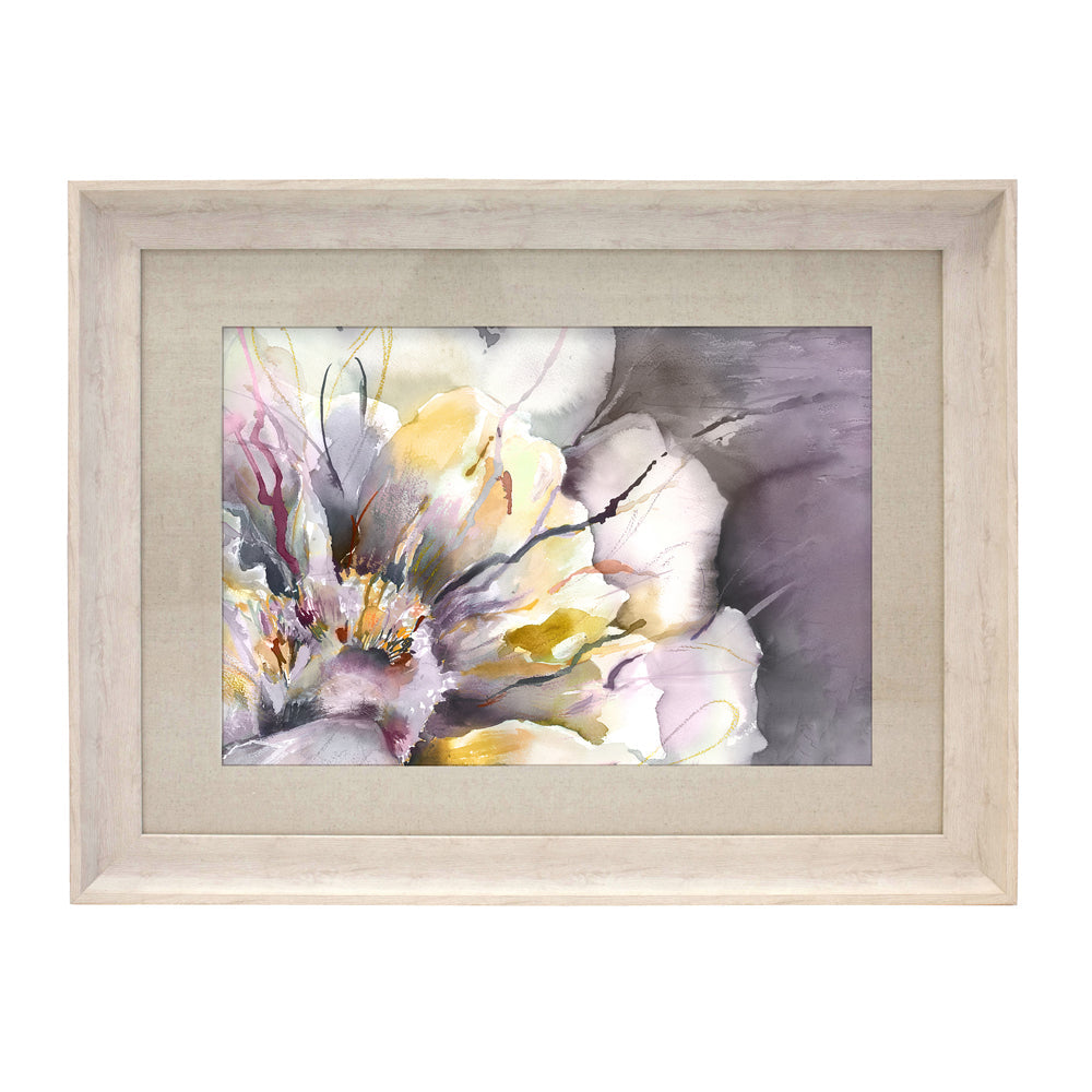 Paeonia Framed Print