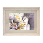 Paeonia Framed Print