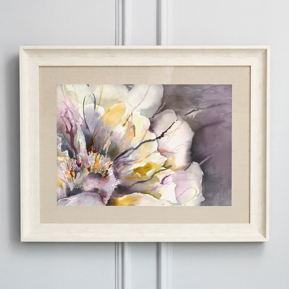 Paeonia Framed Print