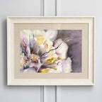 Paeonia Framed Print