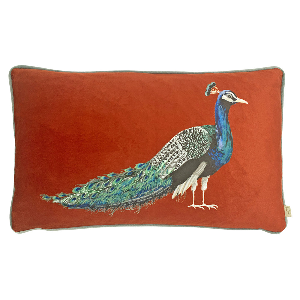 Peacock Rectangular Cushion