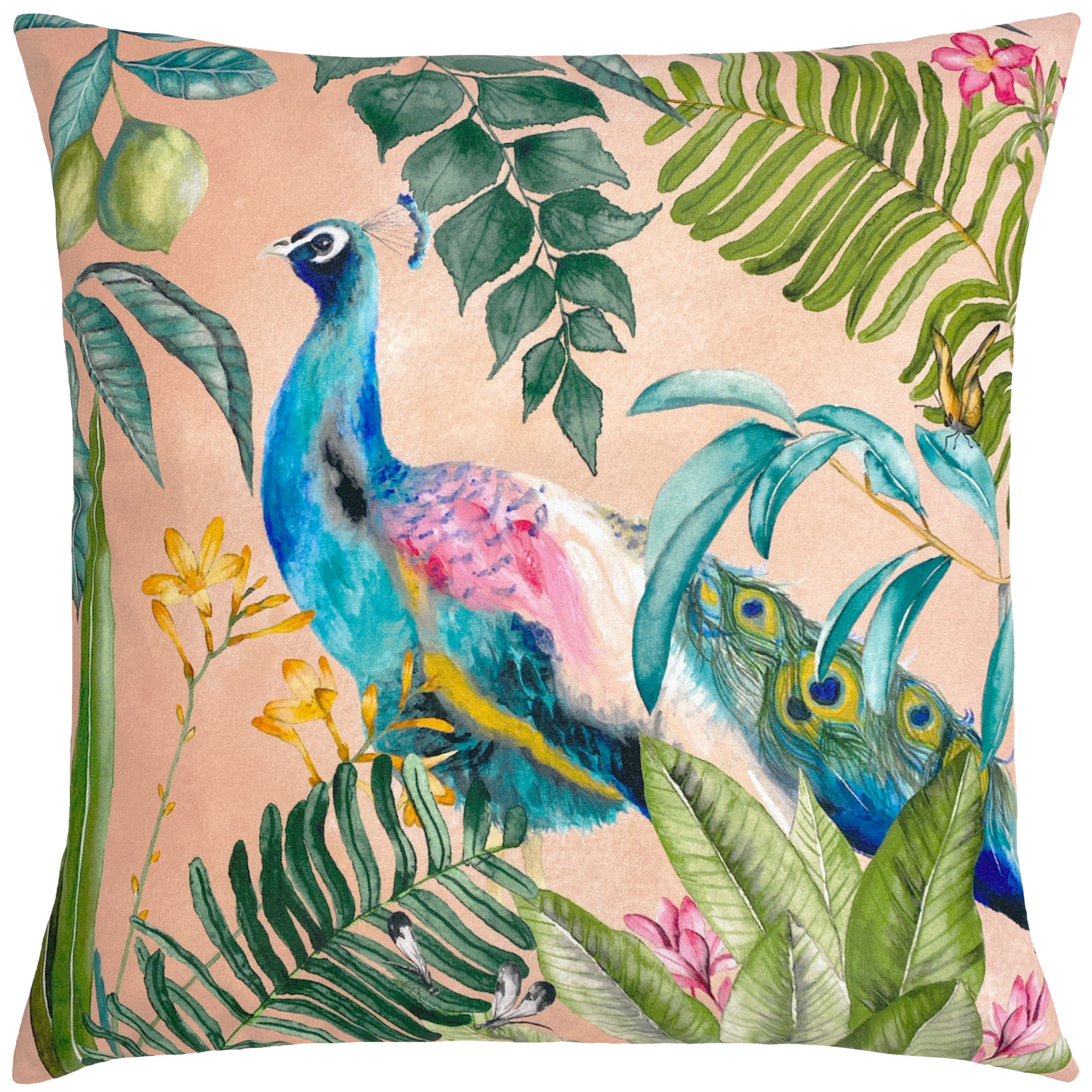 Peacock Outdoor Cushion