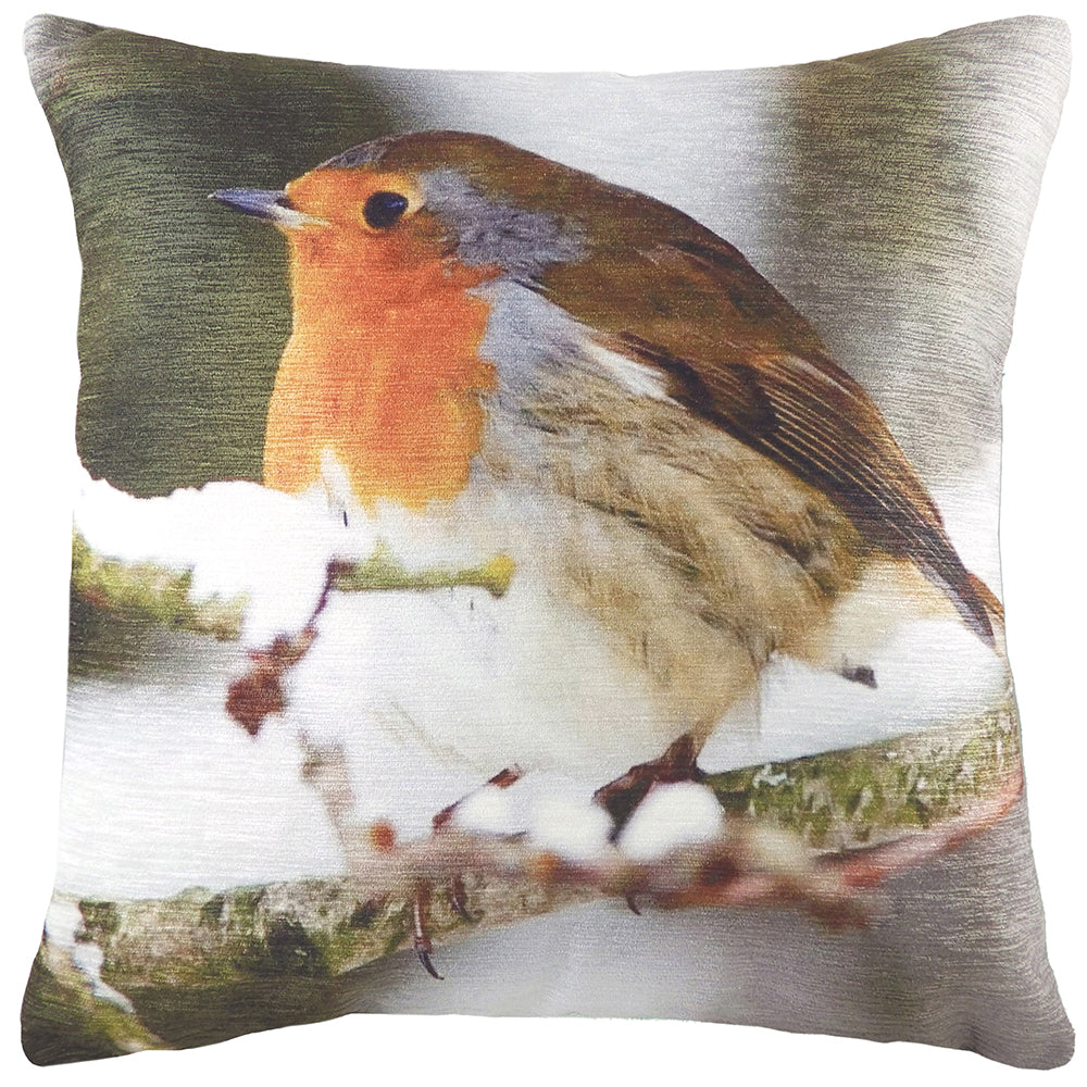 Photo Robin Cushion
