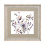 Pimelea Framed Print