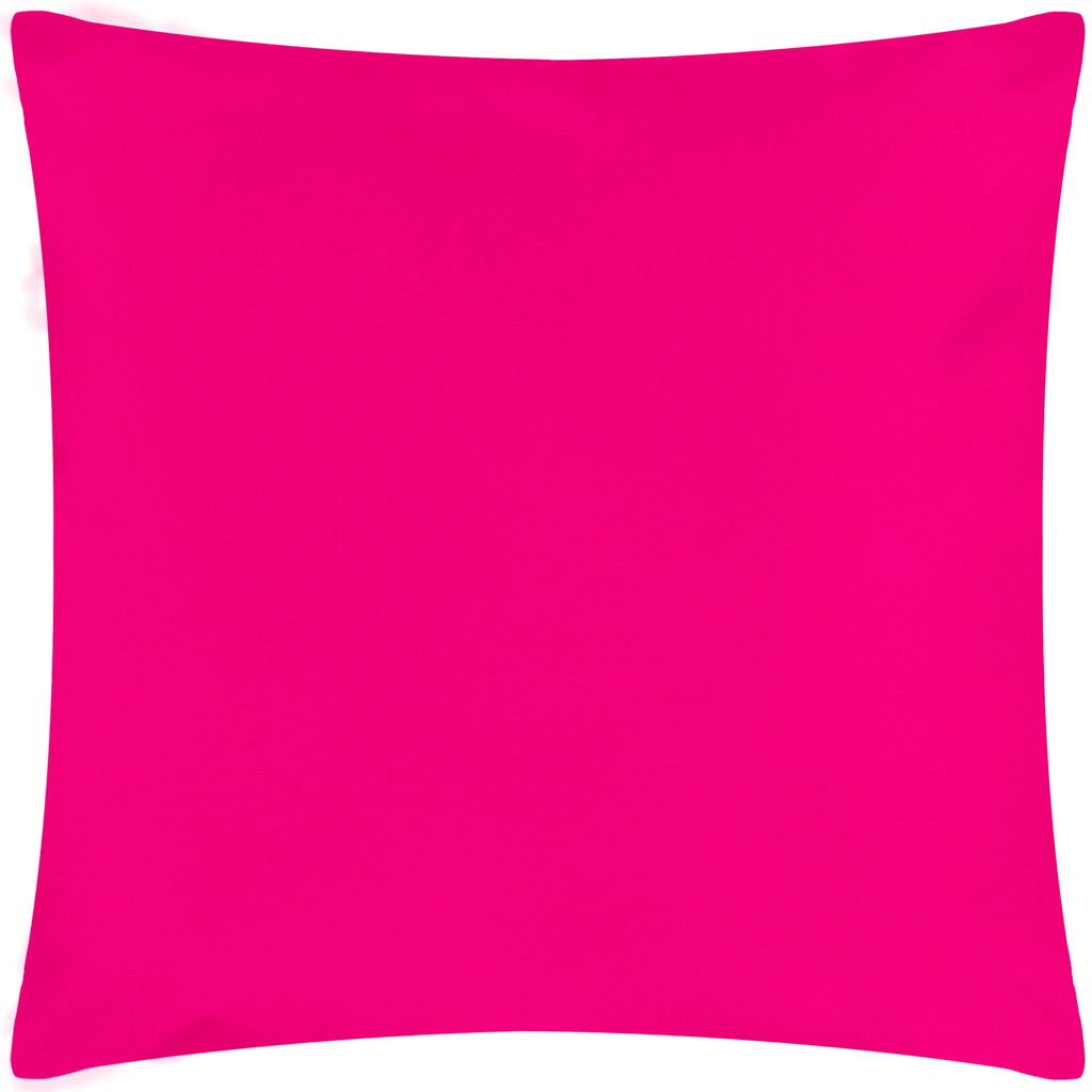 Pina There Outdoor Cushion