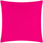 Pina There Outdoor Cushion