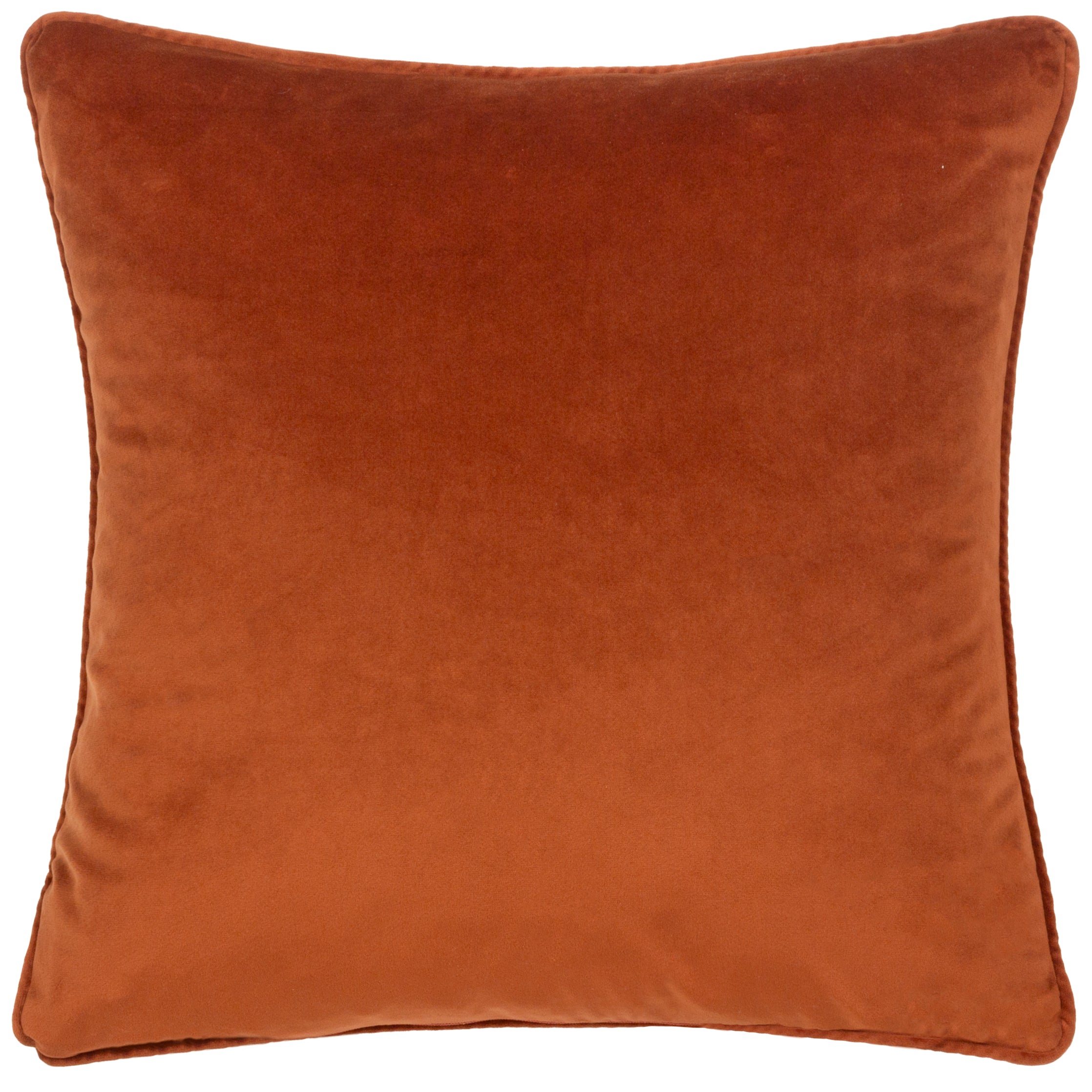 Pomona Floral Piped Cushion