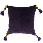 Poonam Velvet Cushion