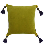 Poonam Velvet Cushion