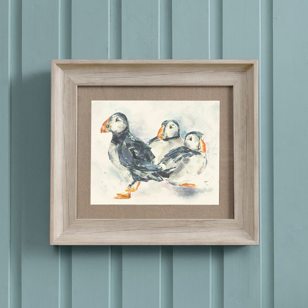 Puffins Framed Print