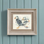 Puffins Framed Print
