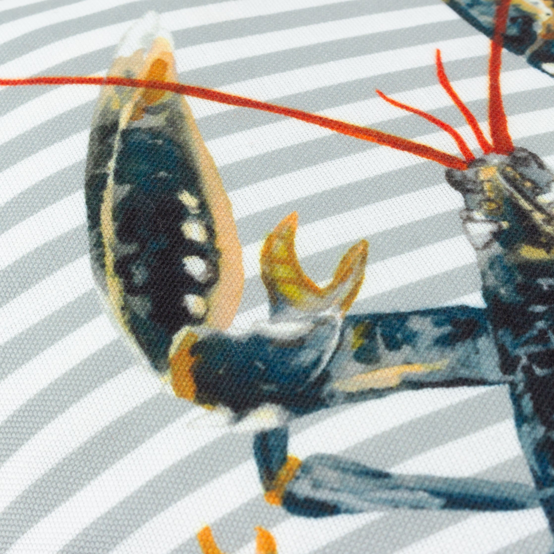 Salcombe Lobster Piped Cushion
