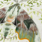 Shugborough Moth Traditional Cushion